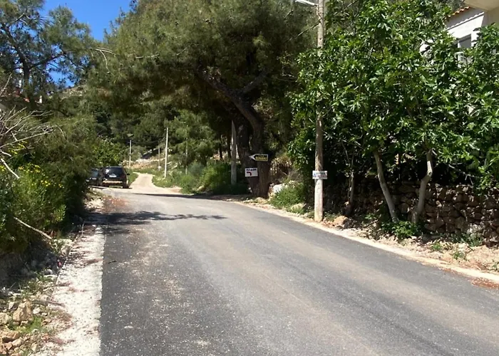 Vila Sinani