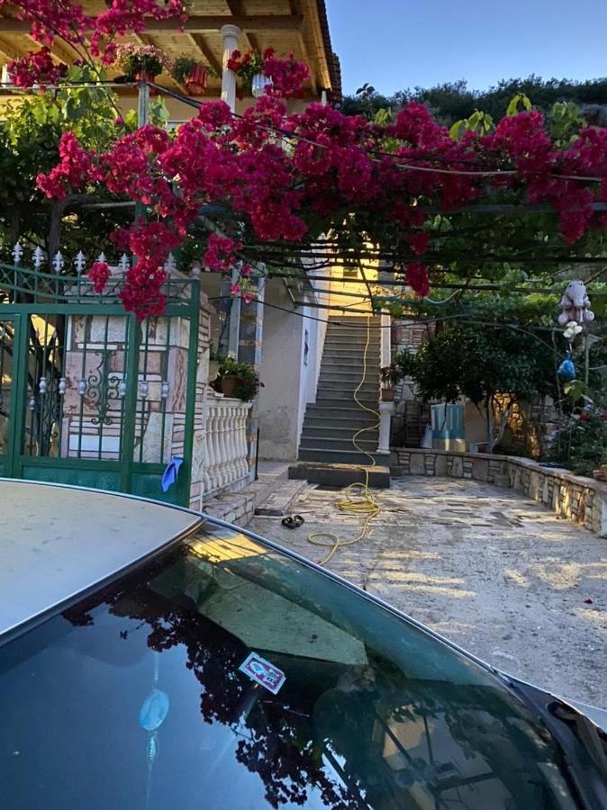 Sinani Apartment